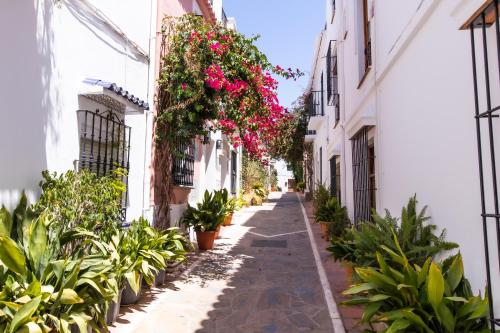 Oasis Relax by PRINCIPE1