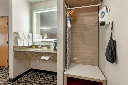 Koupelna v ubytování Best Western Plus Albert Lea I-90/I-35 Hotel