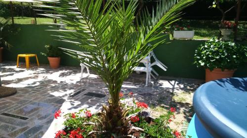 Gallery image of Apartments Rale in Umag