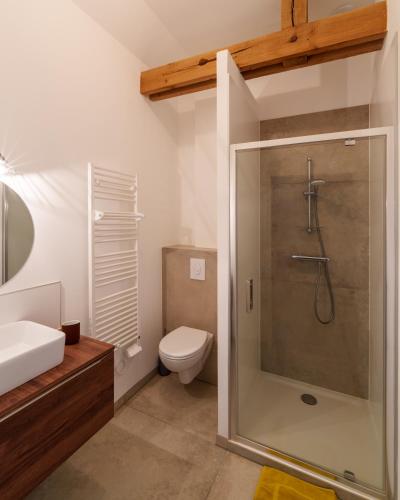 a bathroom with a shower and a toilet and a sink at Grange moderne près de Rennes avec jolie vue ! in Gévezé