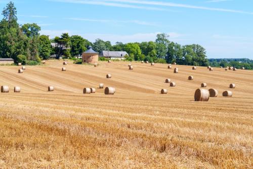 a field filled with hay bales at Grange moderne près de Rennes avec jolie vue ! in Gévezé