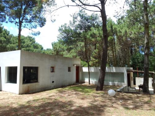 a white house with a tree in the yard at Casa Pessoa in Pinamar