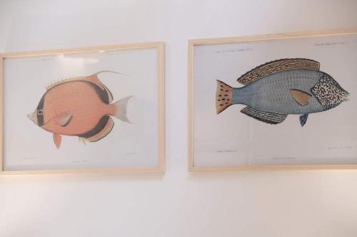 two framed pictures of a fish on a wall at La Casona de Obdulia II in Tresgrandas