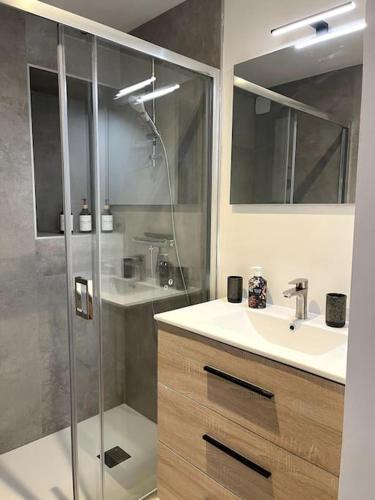 une salle de bain avec douche et lavabo dans l'établissement L'orchidée sauvage, au coeur du centre historique, à Lons-le-Saunier