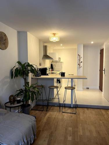 une cuisine avec une table et des chaises dans une pièce dans l'établissement L'orchidée sauvage, au coeur du centre historique, à Lons-le-Saunier