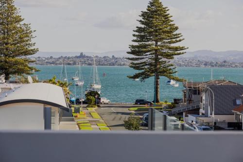 a view of a body of water with a tree at Sun filled & Spacious with Ocean Views & beach in Mount Maunganui