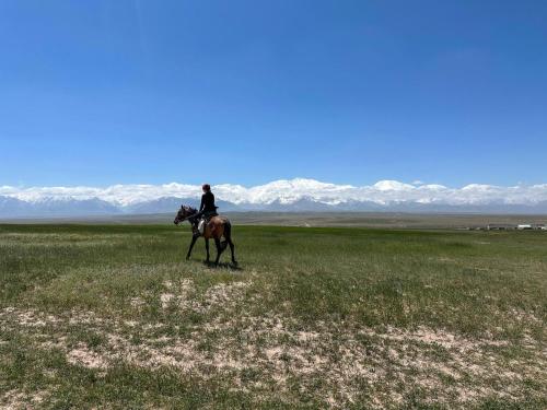 a person riding a horse in a field at Nice Yurt Camp in Sary-Mogul