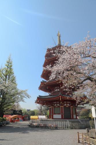 a pagoda with a flowering tree in front of it at Kawasaki King Skyfront Tokyu REI Hotel in Kawasaki