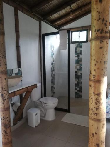 a bathroom with a toilet and a sink at Cabaña Nido de Amazilia in Manizales