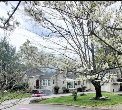 a white house with a tree in front of it at Luxury Historic North Hills Home in Knoxville