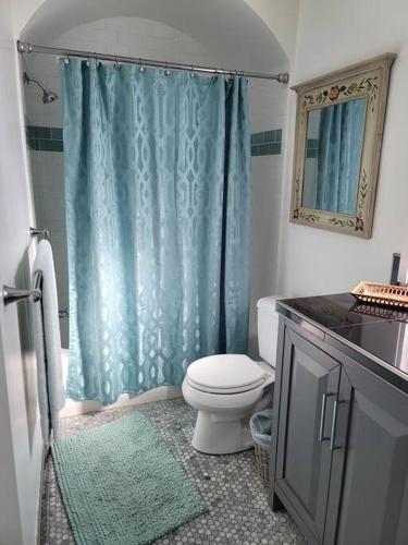 a bathroom with a toilet and a blue shower curtain at Luxury Historic North Hills Home in Knoxville