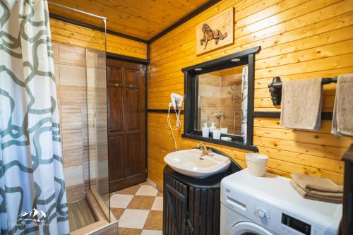 a bathroom with a sink and a washing machine at Rum Haz in Borzont