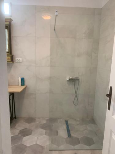a shower with a glass door in a bathroom at Anastasia&ale pension in Mediaş
