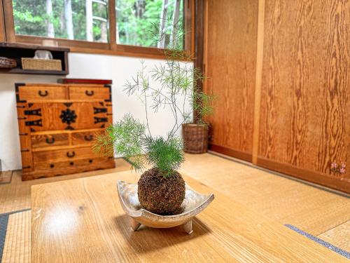 a plant in a bowl on the floor of a room at Koguma no ie in Nozawa Onsen