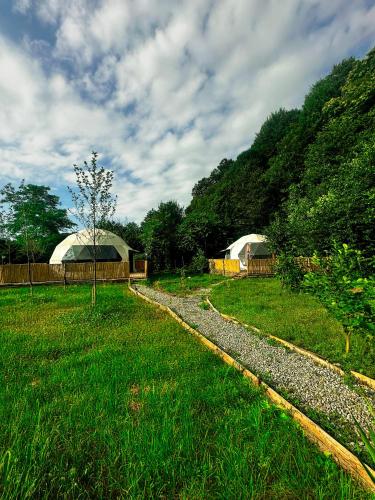 a grassy field with two domes and a tree at Evaland Glamping Resort in Kuvançari