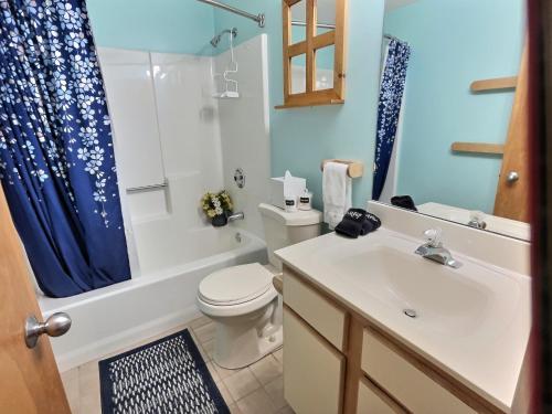 a bathroom with a toilet and a sink and a shower at Bearmont- Pool, HotTub, FirePit, AC, Gym, Sauna in Killington