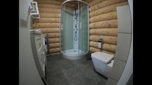 a bathroom with a toilet and a glass shower at Kwietna łąka na szlaku in Jarnołtówek