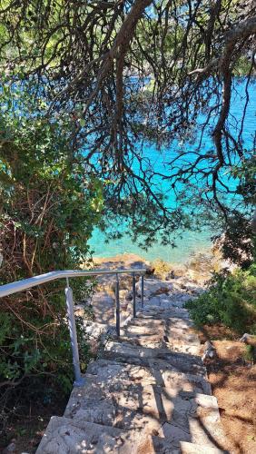 Gallery image of Zen's Garden in Vela Luka