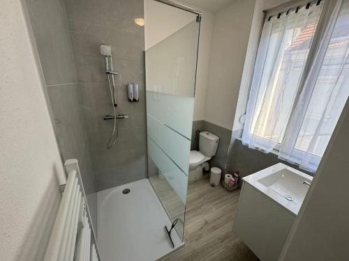 une salle de bain avec une douche, un lavabo et des toilettes dans l'établissement Le studio Champêtre, à Mulhouse