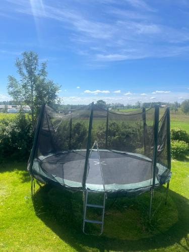 a trampoline with a net on the grass at Idyllisk stuga- fri elbilsladdning in Gislaved
