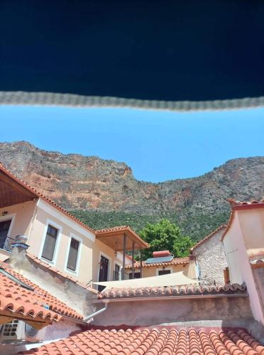 Rodomelo Cute Studio 3