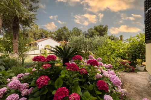 Ảnh trong thư viện ảnh của Amelia ở Mali Lošinj