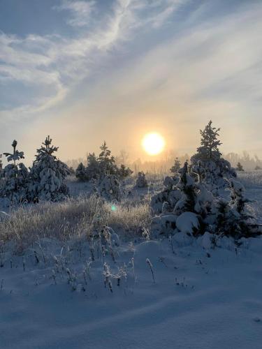 a snow covered field with trees and the sun in the background at Ronga saunamaja in Ilmasoo