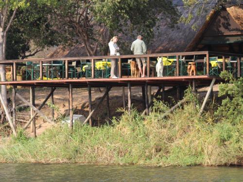 two people and two dogs standing on a bridge over the water at Ndhovu Safari Lodge in Mahango
