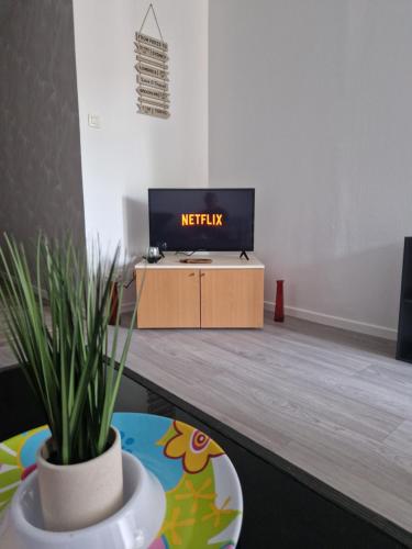 Μια τηλεόραση ή/και κέντρο ψυχαγωγίας στο l'appart en rez de jardin