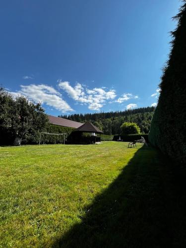 Eine grasbewachsene Wiese mit einem Gebäude im Hintergrund in der Unterkunft Forest View Cottage in Voroneţ