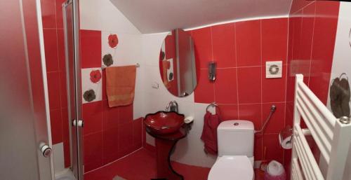 a red bathroom with a toilet and a sink at Cabana Zimbru mica in Băile Borşa