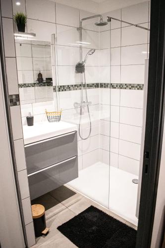 une salle de bain avec douche et lavabo dans l'établissement Appartement Marseille, à Marseille