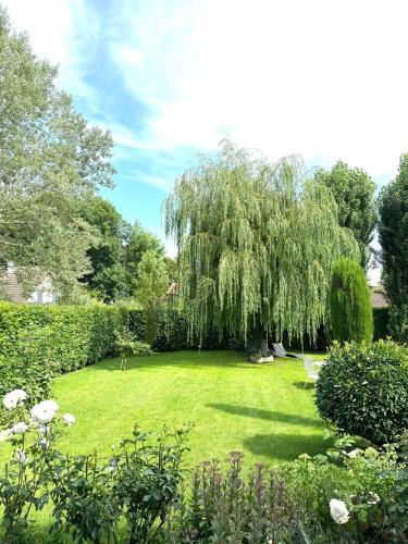 a green yard with a weeping willow tree and a bench at Emeraude in Gex