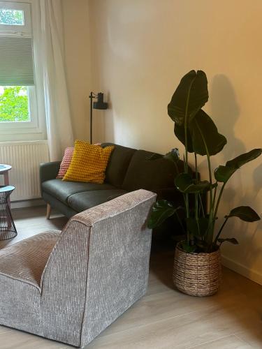 a living room with a couch and a plant at Hoeve de Binnenplaets Schimmert in Schimmert