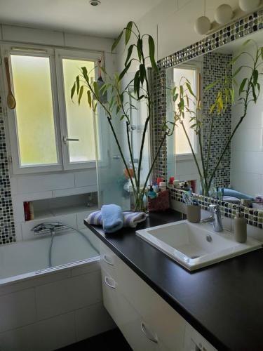 ein Badezimmer mit Waschbecken und Badewanne in der Unterkunft Colibri in Rocquencourt
