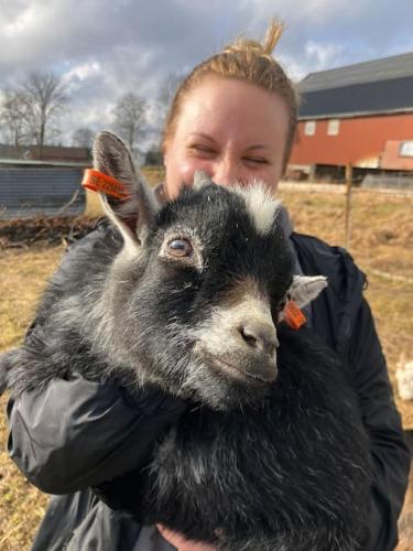a woman holding a black goat in her arms at Krokens Gård in Fotskäl