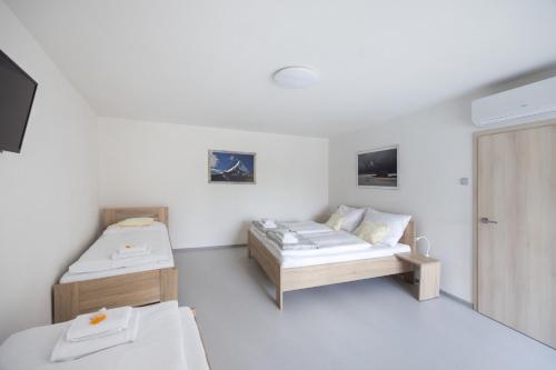 Tempat tidur dalam kamar di A studio Veselka Litomyšl