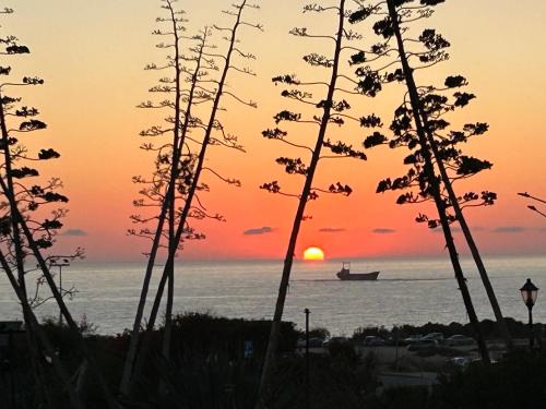 Seaview apartment with garden & pool