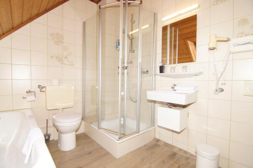 a bathroom with a shower and a toilet and a sink at Gasthaus und Landhotel Wiedmann in Eresing