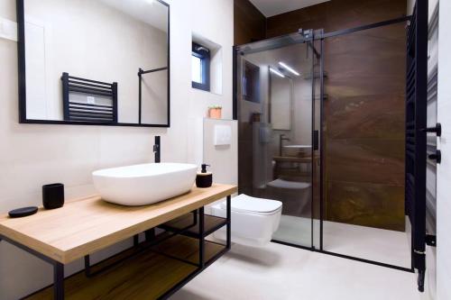 une salle de bain avec lavabo et douche dans l'établissement Villa Mara by IstriaLux, à Svetvinčenat