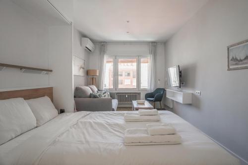 Cozy studio-Chamberí