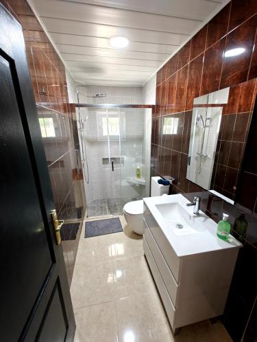 a bathroom with a toilet and a sink and a shower at Beautiful House Delta Ebro in Camarles