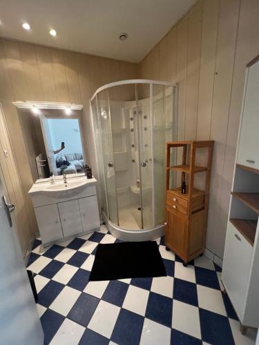 une salle de bain avec douche et lavabo dans l'établissement Jolie appartement 5 pers, à Saint-Fargeau