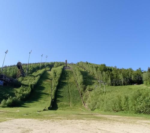 a train track on a hill with trees on it at Apartmán Stodola2 Harrachov in Harrachov