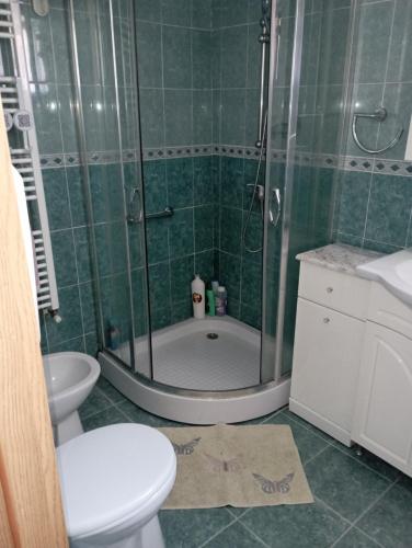a bathroom with a shower and a toilet and a sink at Casă ultracentral in Făgăraş