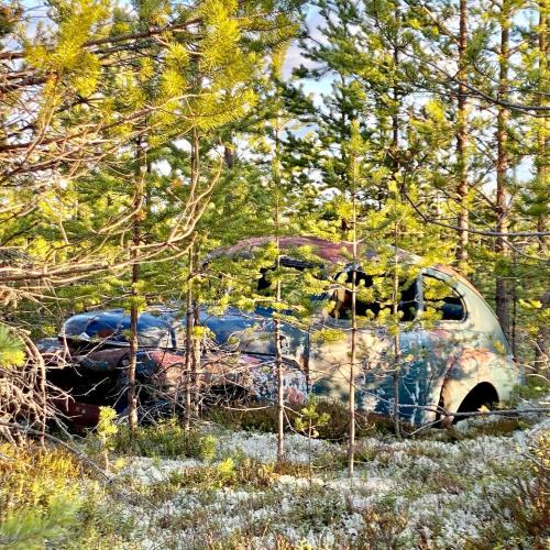 an old car is sitting in the woods at Offroadcamp in Sörsjön