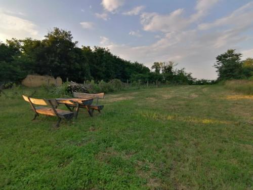 two benches sitting in the grass in a field at Das kleine Weinberghäuschen in Garabonc - Jägerpince in Garabonc