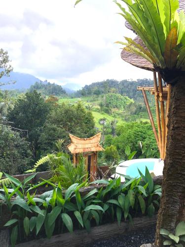 a garden with a bamboo structure in the middle of a field at Danaswari Bali Bamboo House in Selat