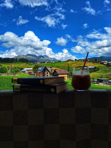 a couple of books and a drink on a ledge at Tsvirmi Zviadi's guesthouse in Mestia