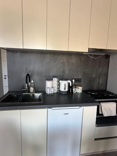 Kuchyň nebo kuchyňský kout v ubytování Tashev Apartments